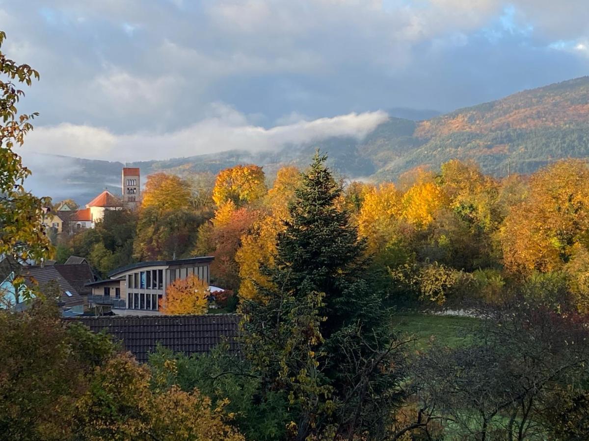 Le Moonloft Insolite Tiny-House Dans Les Arbres & 1 Seance De Sauna Pour 2 Avec Vue Panoramique Osenbach Eksteriør bilde