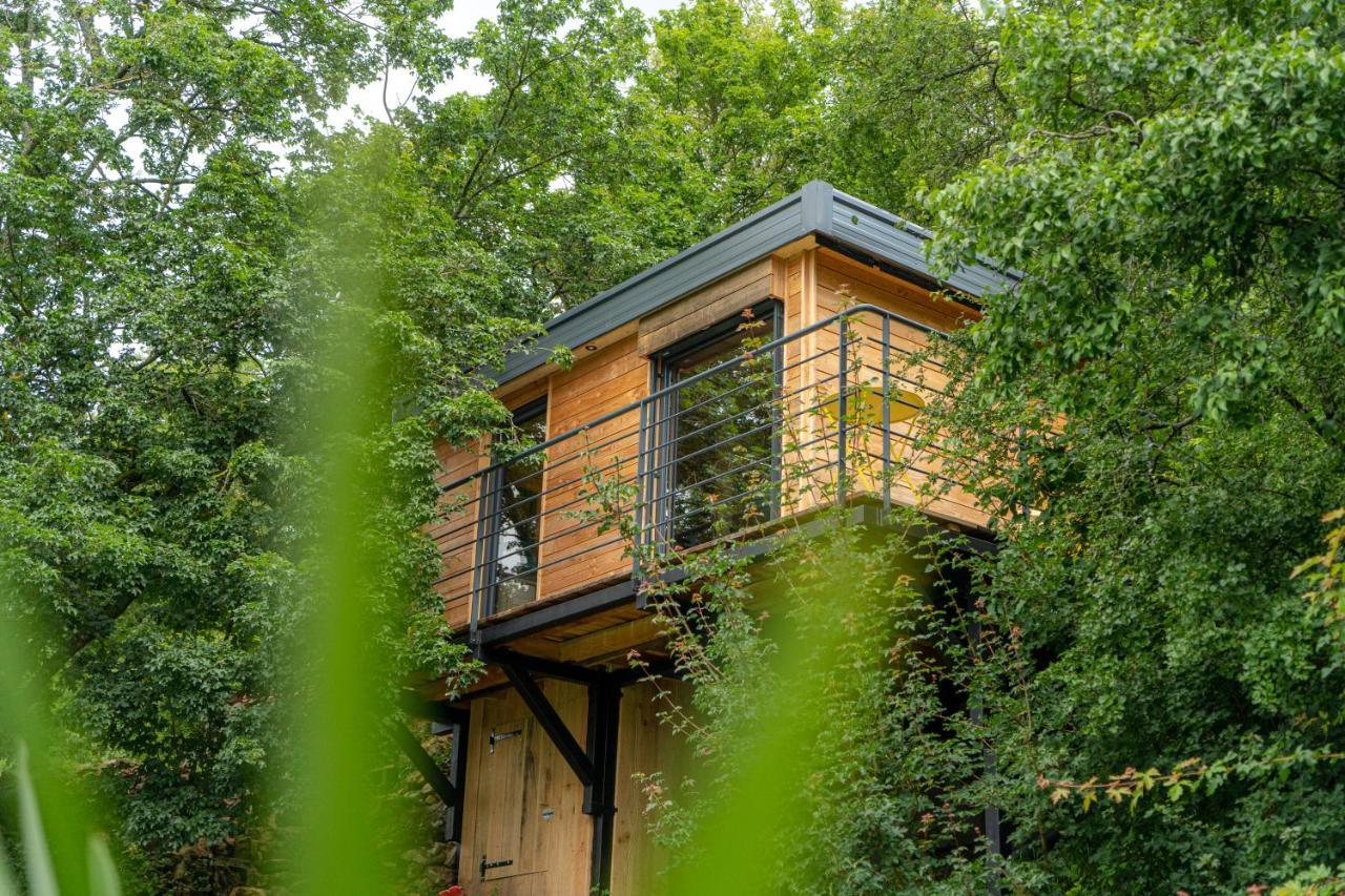 Le Moonloft Insolite Tiny-House Dans Les Arbres & 1 Seance De Sauna Pour 2 Avec Vue Panoramique Osenbach Eksteriør bilde