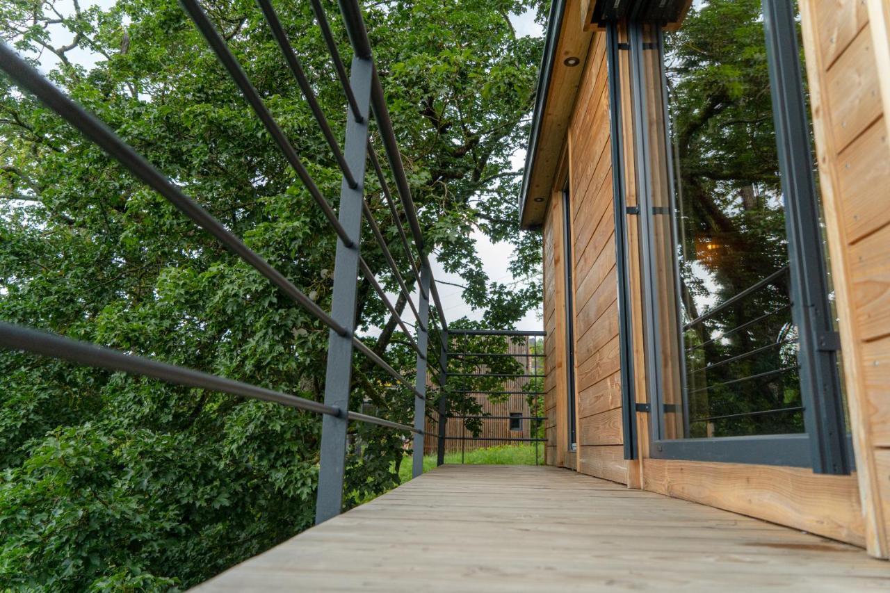 Le Moonloft Insolite Tiny-House Dans Les Arbres & 1 Seance De Sauna Pour 2 Avec Vue Panoramique Osenbach Eksteriør bilde