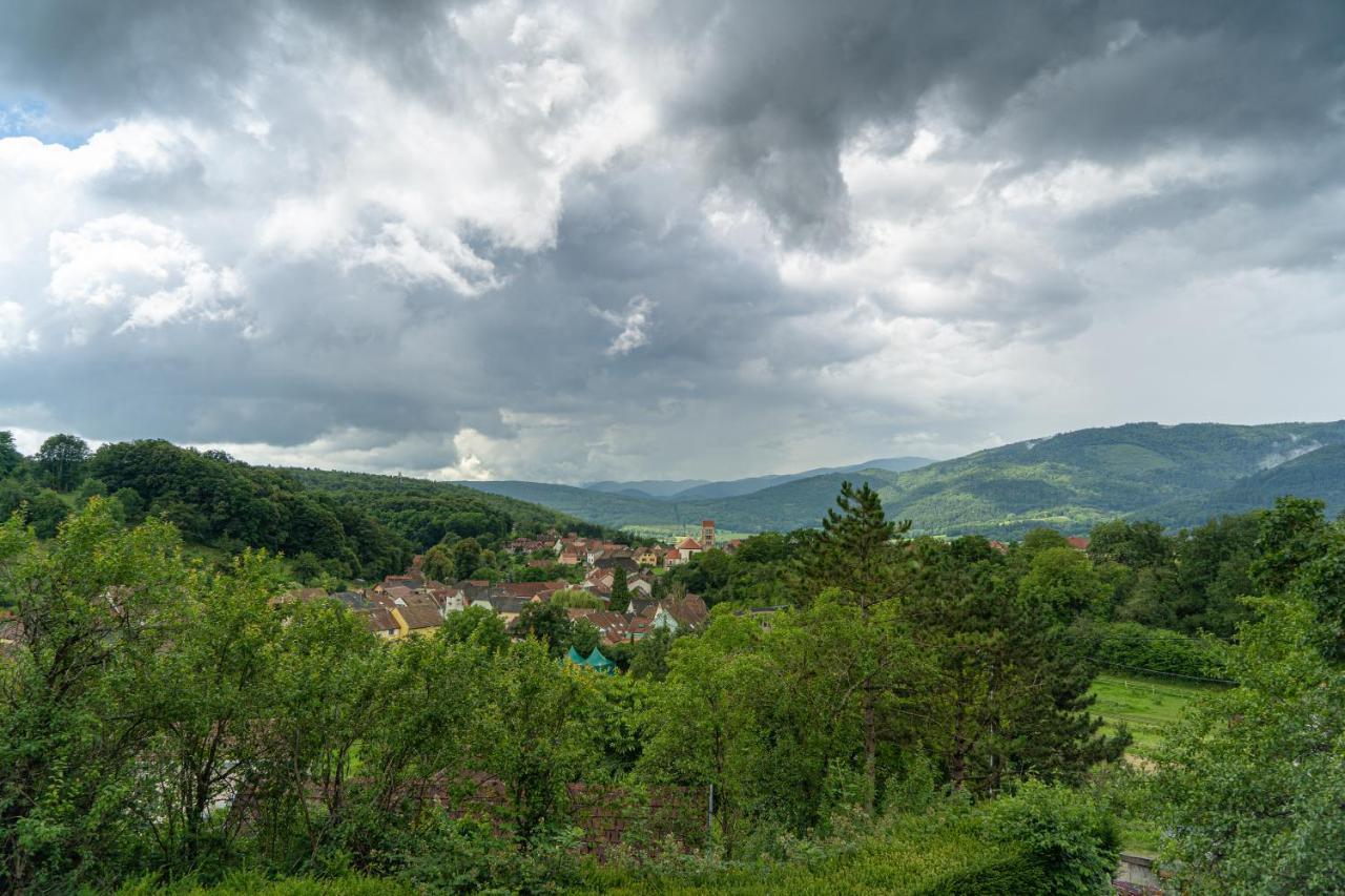Le Moonloft Insolite Tiny-House Dans Les Arbres & 1 Seance De Sauna Pour 2 Avec Vue Panoramique Osenbach Eksteriør bilde