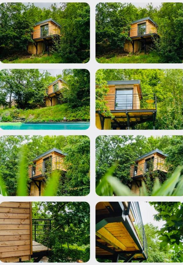 Le Moonloft Insolite Tiny-House Dans Les Arbres & 1 Seance De Sauna Pour 2 Avec Vue Panoramique Osenbach Eksteriør bilde